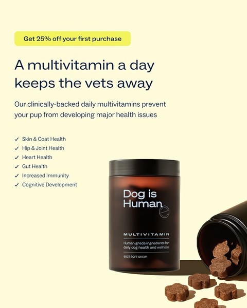 A clean, minimalist product ad for dog multivitamin soft chews that prioritizes health benefits and a strong, clear offer.